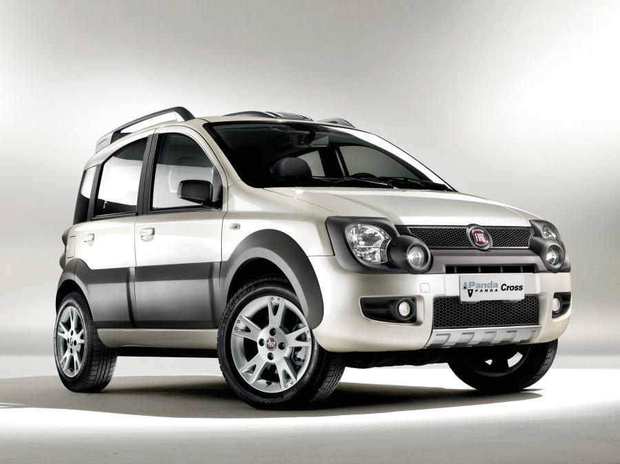 Fiat Panda Natural Power Cross 2009 года  (фото 4 из 4)